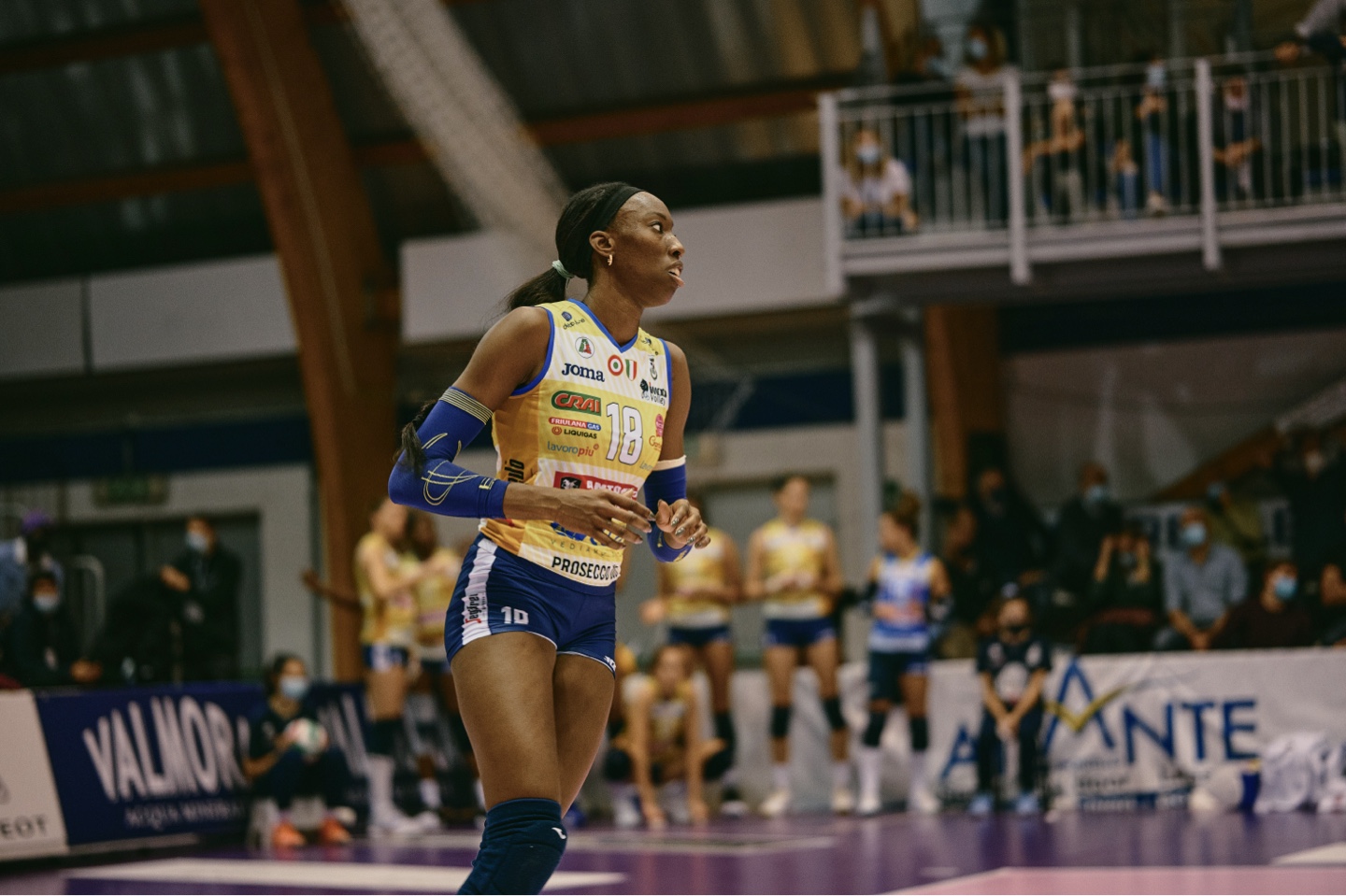 LVF TV — Lega Volley Femminile